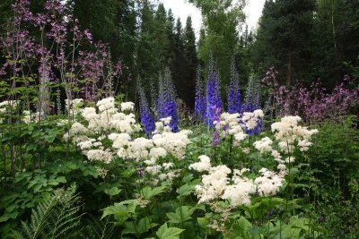 CoyoteGdns_18Jul2009_ 014.JPG
