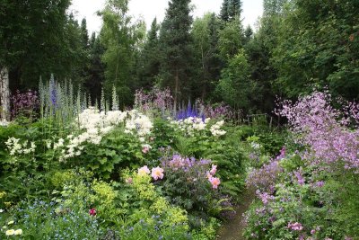 CoyoteGdns_18Jul2009_ 017.JPG