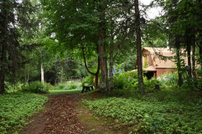 CoyoteGdns_18Jul2009_ 020.JPG