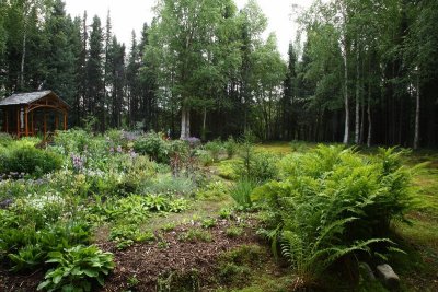 CoyoteGdns_18Jul2009_ 026.JPG