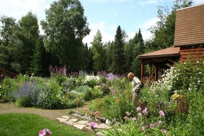 CoyoteGdns_18Jul2009_ 034.JPG