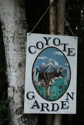 CoyoteGdns_18Jul2009_ 044.JPG