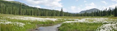 HatcherPass_18Jul2009_ 007p.jpg