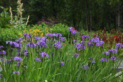 AK_BotanicalGdn_Sale_27Jun2010_ 013.JPG