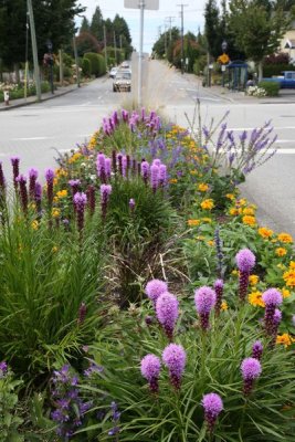WestVanBC_11Jul2010_ 019.JPG