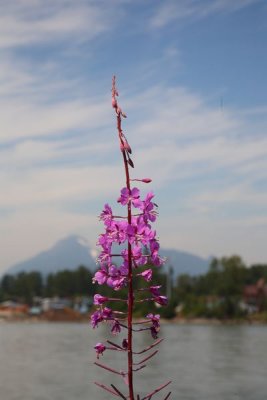 FtLangleyBC_09Jul2010_ 032.JPG