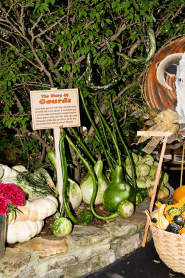 Gourds.jpg