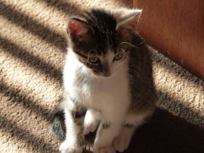P1010809crop2.jpg