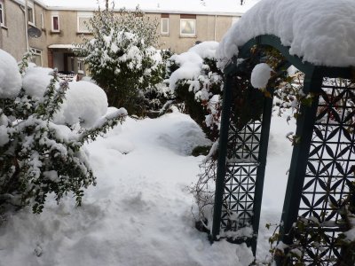 P1010900.JPG