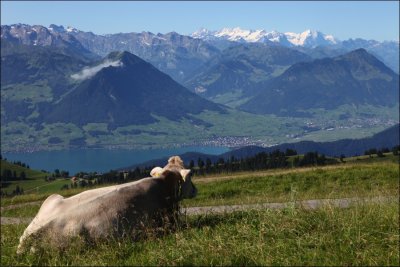 2009 - July, Vitznau, Switzerland