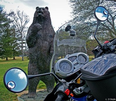 DE tag bear and bike pc.jpg