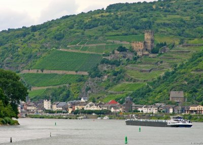 Rhine Valley20 pc.jpg