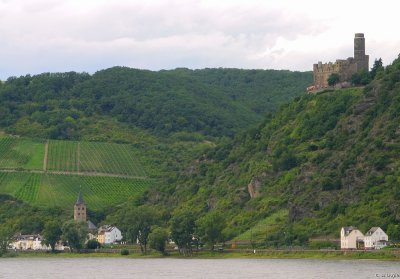 Rhine Valley35 pc.jpg