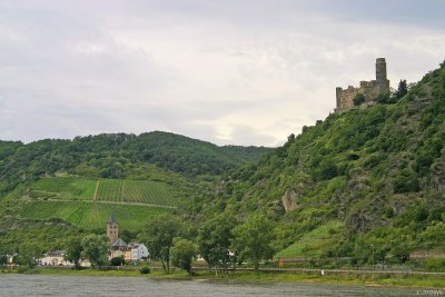 Rhine Valley35a pc.jpg