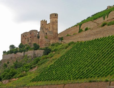 Rhine Valley4 pc.jpg