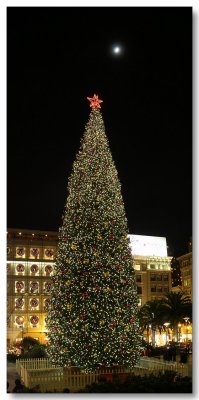 San Francisco Union Square Holiday Season