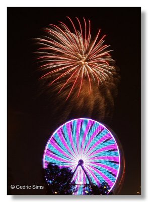 California State Fair 2010