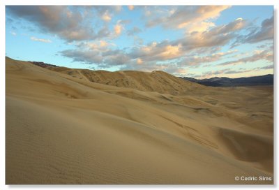 Eureka Dunes 2010