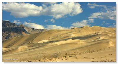 Eureka Dunes 2010