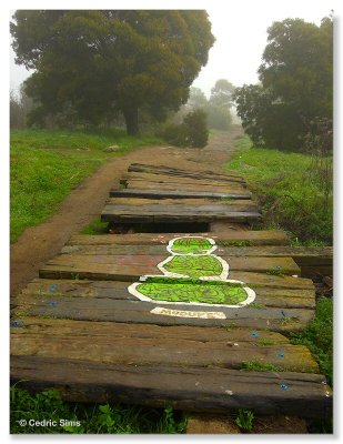  Albany Bulb 2011