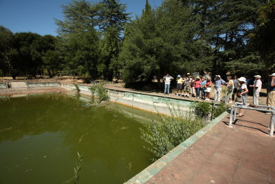 Main Pool