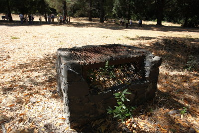 Abandoned barbecue pit