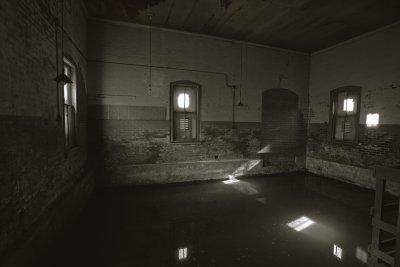 Fort Baker, flooded pump house in duotone