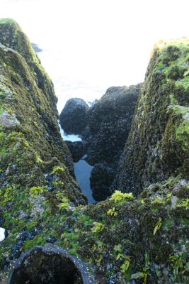 Quarried notch leading to blow hole pipe
