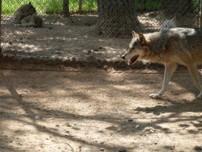 SDC10218_resize.JPG