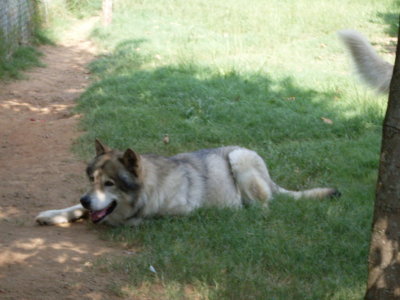 SDC10251_resize.JPG