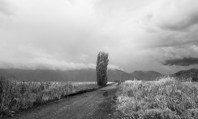 E_IMGP3792.jpg