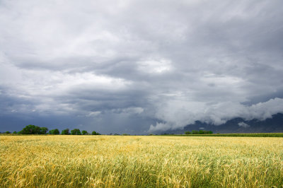 Storm has passed through the valley