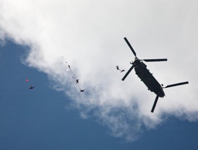 Waddington 2010