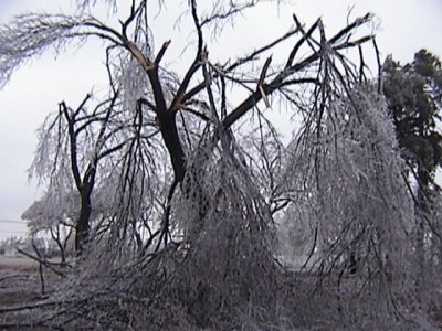 Ice Storm - January 29/30, 2002 - Okarche, OK