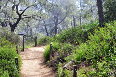 Guy Fleming Trail at Torrey Pines Reserve