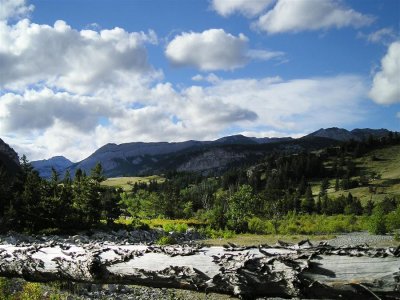 P1010074.JPG