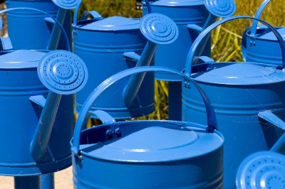 Blue Watering Cans