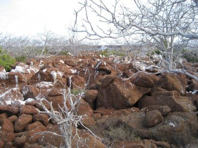 Rugged Seymour Island