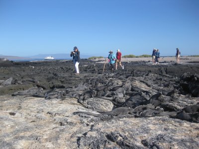 Iguanas & hikers (watch out for iguana guano!)