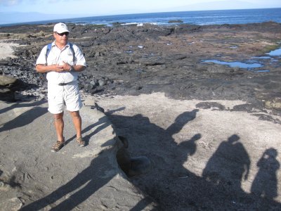 Our naturalist, Fred on Santiago with fur seals (actually fur sea lions)