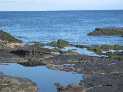 Tidepools on Santiago Island