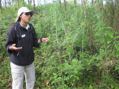 Janina shows us the invasive blackberry vine (just like here at home!)