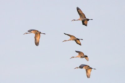 IMG_3016wnr.jpg