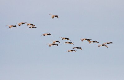 IMG_3057wnr.jpg