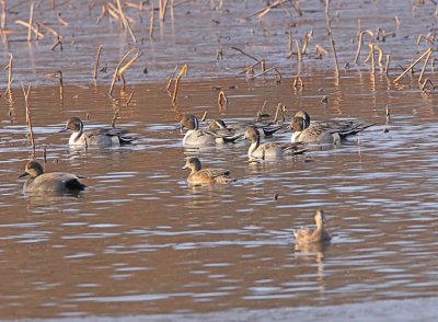 IMG_3140wnr.jpg