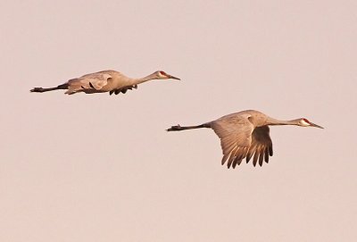 IMG_3252wnr.jpg