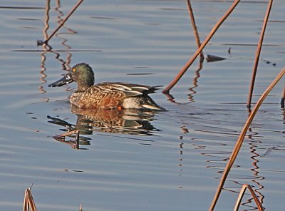 IMG_8965wnr.jpg