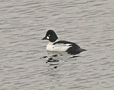 IMG_9776wnr.jpg