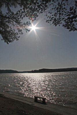 IMG_8061ss.jpg
