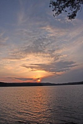 IMG_8565ss.jpg